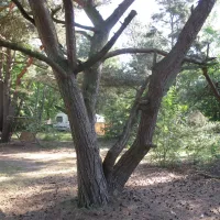 de-fransche-kamp-bussum-zoe8g