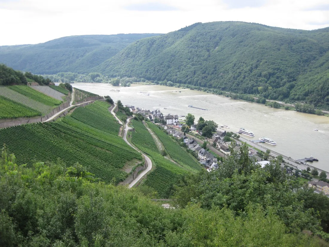 natuurpark-suleika-lorch-rrmki