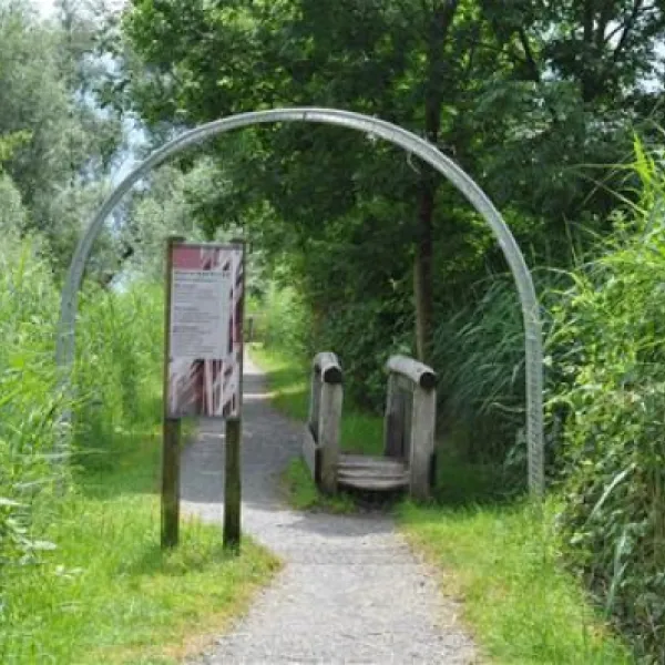 tcs-camping-luzern-horw-horw-flym3