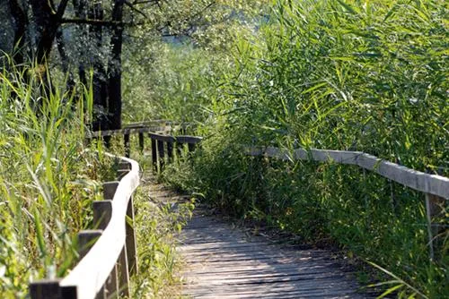 tcs-camping-luzern-horw-horw-odbnr