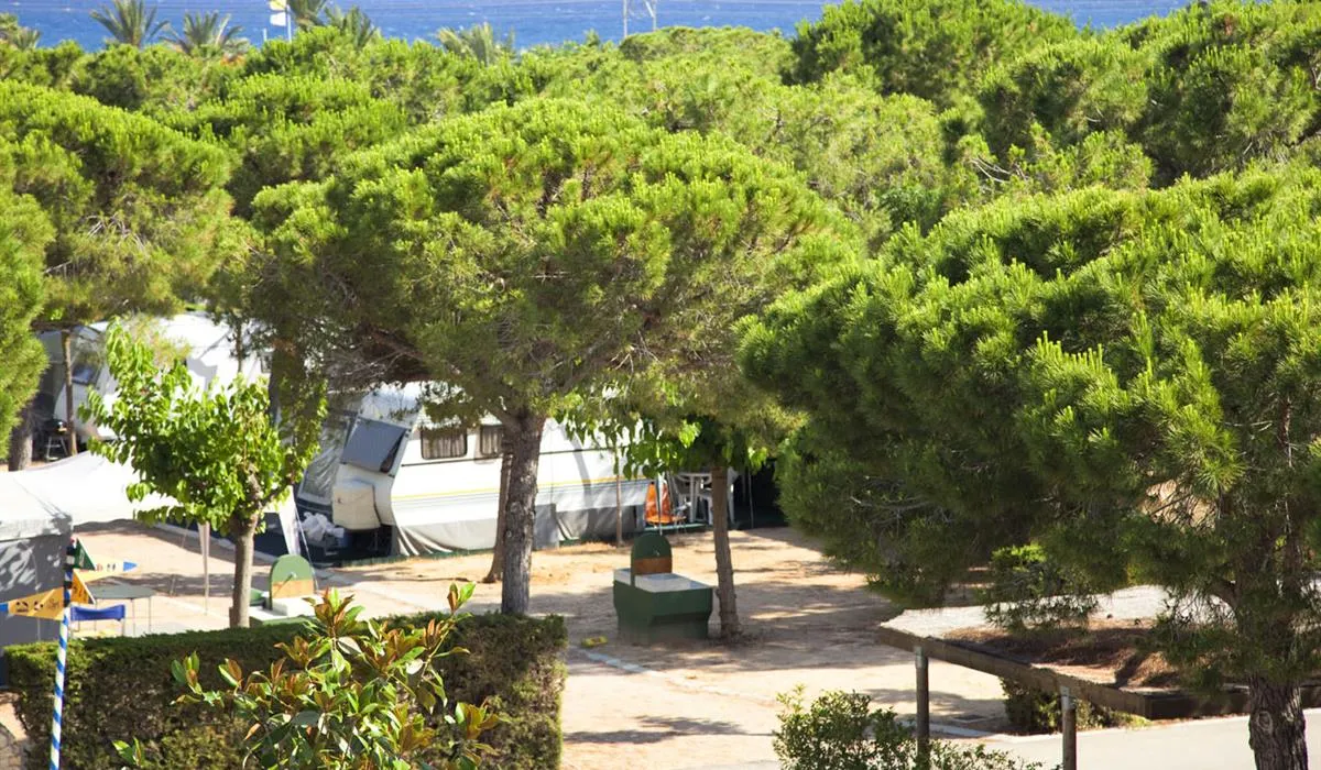 camping-stel-puigcerda-puigcerd-6bbir