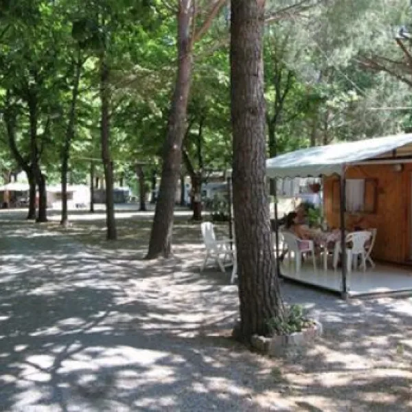 Camping Rustia