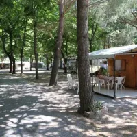Camping Rustia