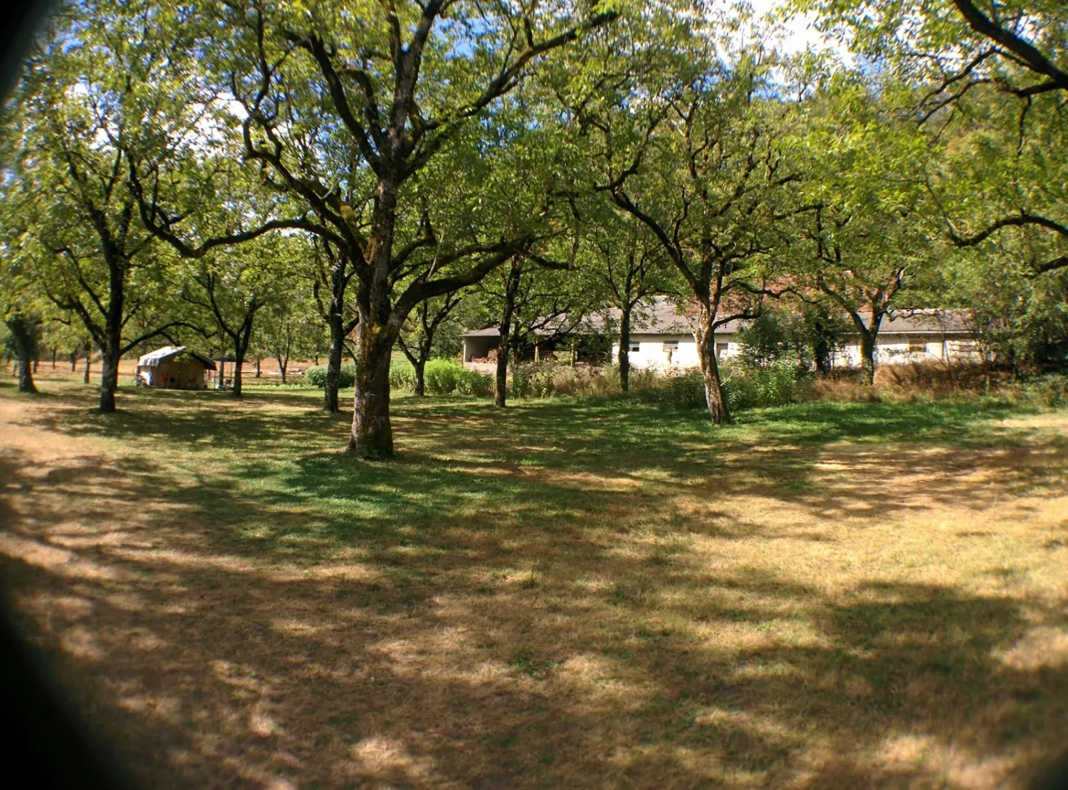 camping-la-berge-ombragee-brivezac-fvik5