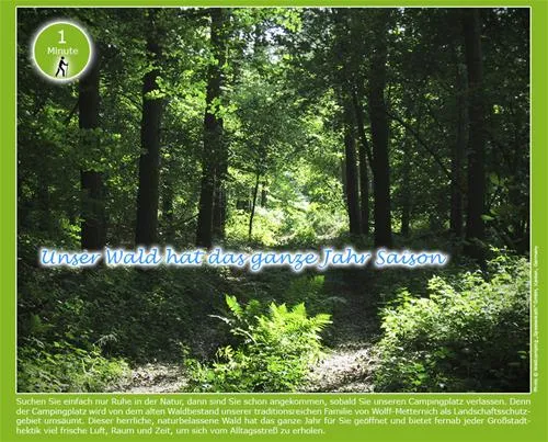 waldcamping-speetenkath-xanten-xanten-rjmac