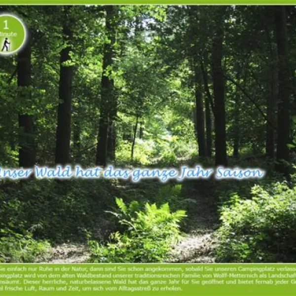 waldcamping-speetenkath-xanten-xanten-rjmac