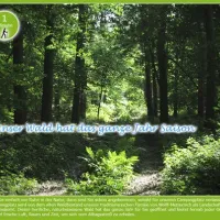waldcamping-speetenkath-xanten-xanten-rjmac