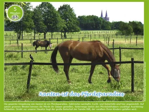 waldcamping-speetenkath-xanten-xanten-t6xbw