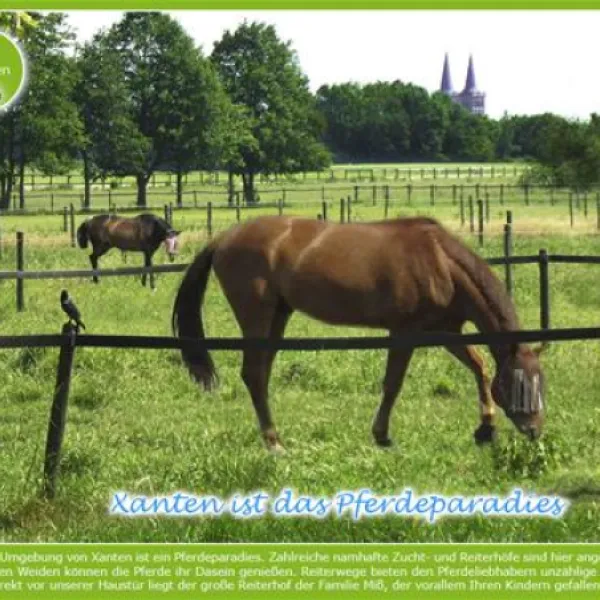 waldcamping-speetenkath-xanten-xanten-t6xbw