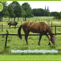 waldcamping-speetenkath-xanten-xanten-t6xbw