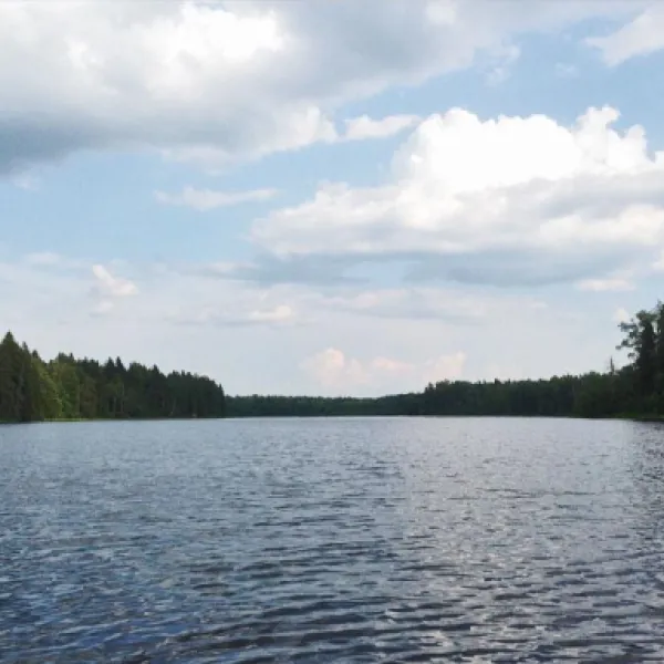 novgorodskaya-derevnya-isaikha-bhesb