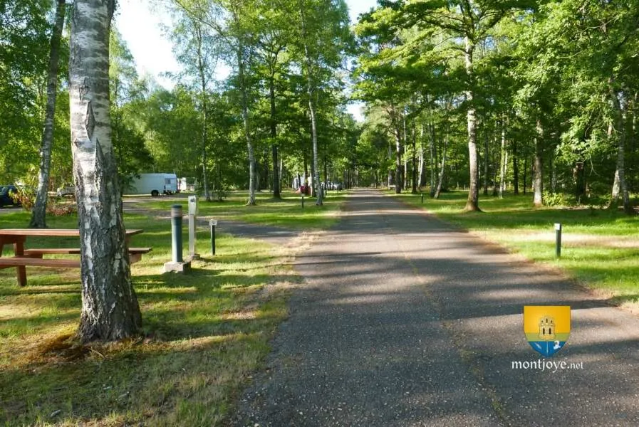 camping-municipal-des-pins-nancay-jwm3t