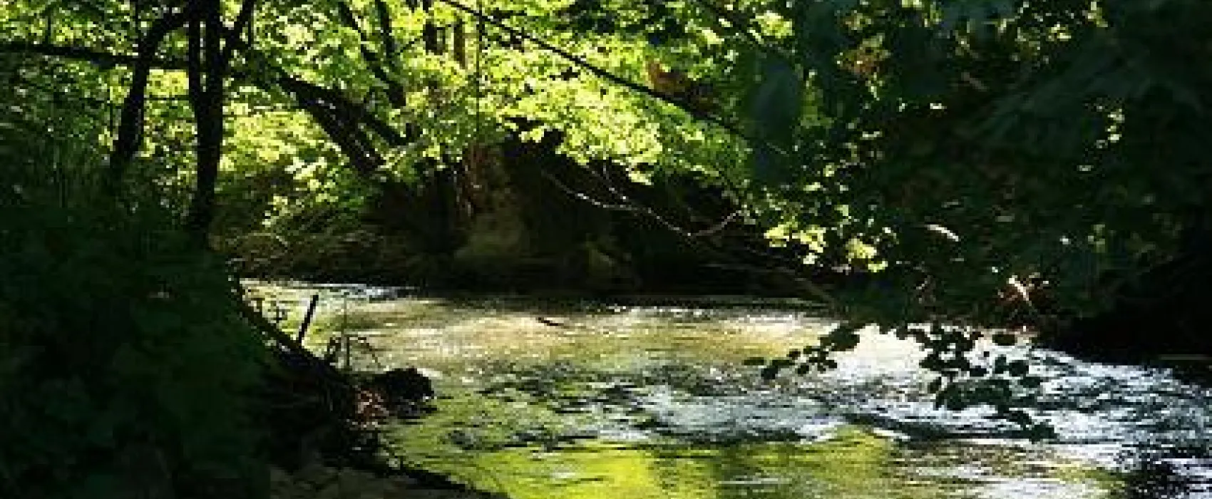 Camping Schwabenmühle