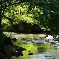 camping-schwabenmhle-weikersheim-m7oca