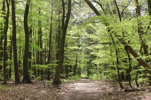 knaus-campingpark-elbtalaue-alt-gargebleckede-xqubh