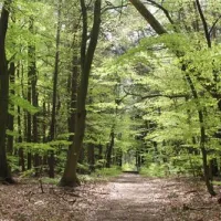 knaus-campingpark-elbtalaue-alt-gargebleckede-xqubh