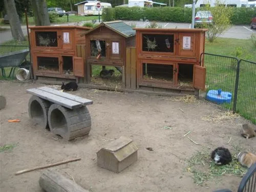 knaus-campingpark-elbtalaue-alt-gargebleckede-zdpd5