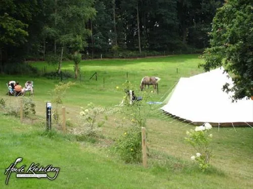 natuurkampeerterrein-hoeve-krekelberg-schinnen-gqv6h