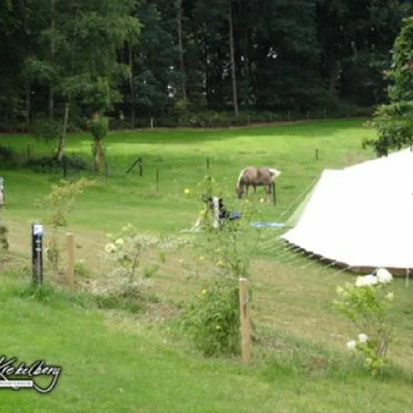 natuurkampeerterrein-hoeve-krekelberg-schinnen-gqv6h