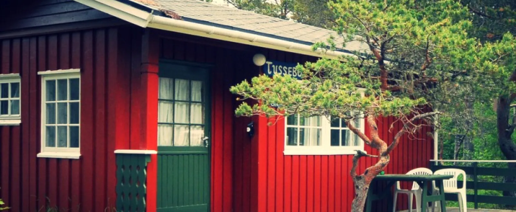 Byskogen Camping