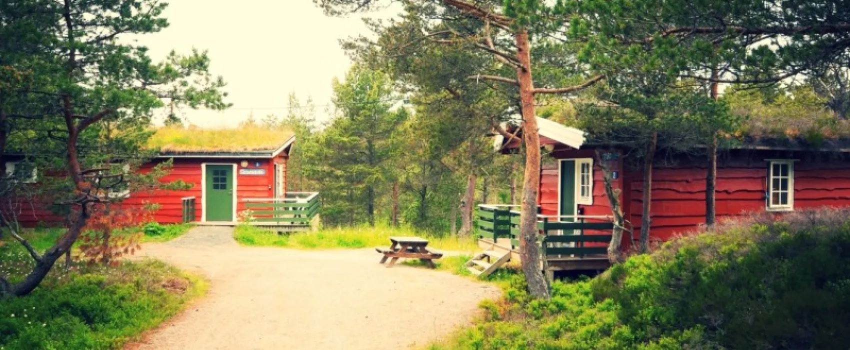 Byskogen Camping