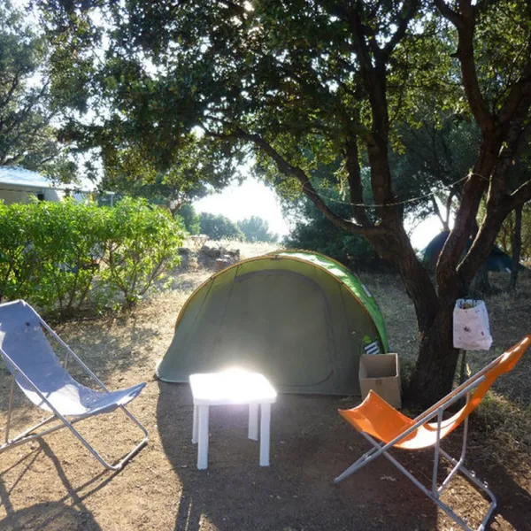 camping-les-oliviers-monticello-5nadt