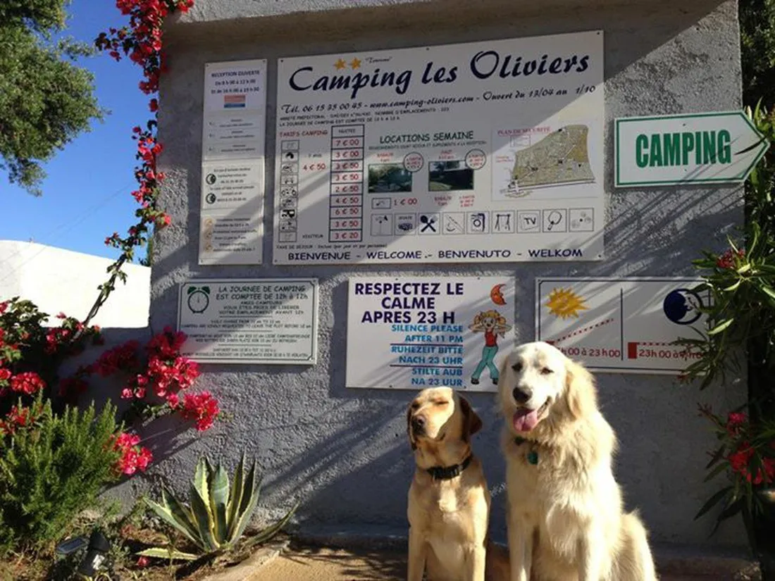 camping-les-oliviers-monticello-e8uiz