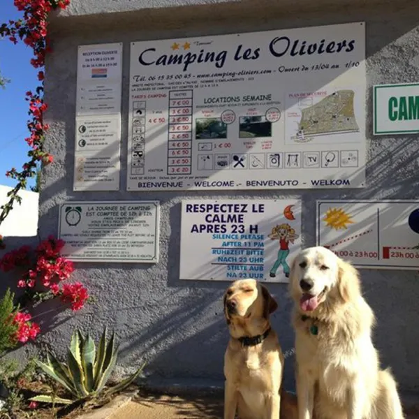 camping-les-oliviers-monticello-e8uiz