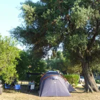 camping-les-oliviers-monticello-ozmoy