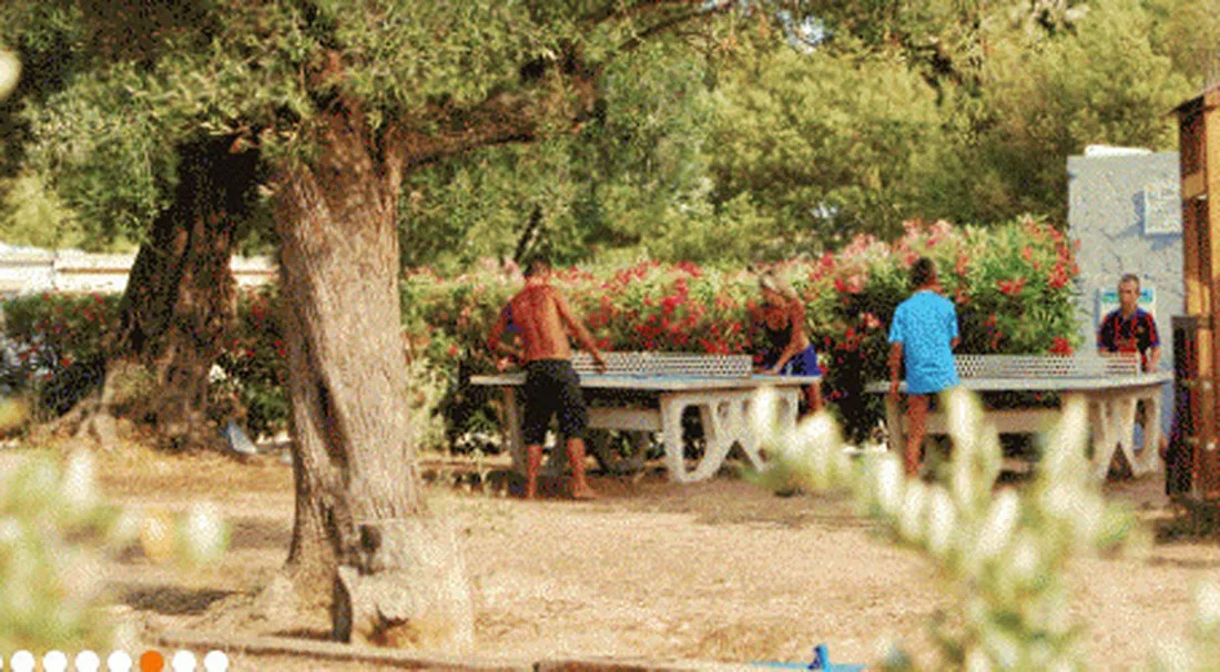 camping-les-oliviers-monticello-qcfs6