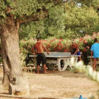 camping-les-oliviers-monticello-qcfs6