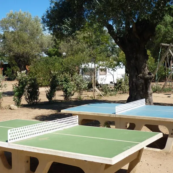camping-les-oliviers-monticello-whwm1