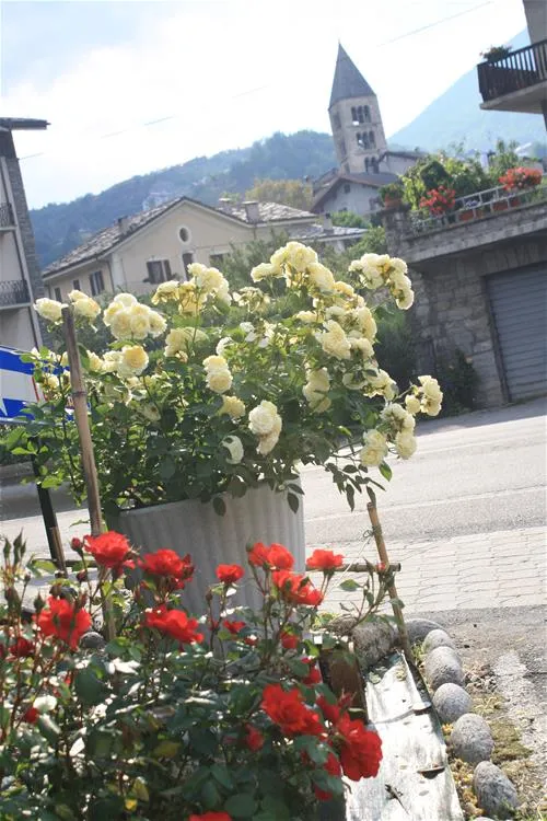 campeggio-monte-bianco-sarre-mwgx8
