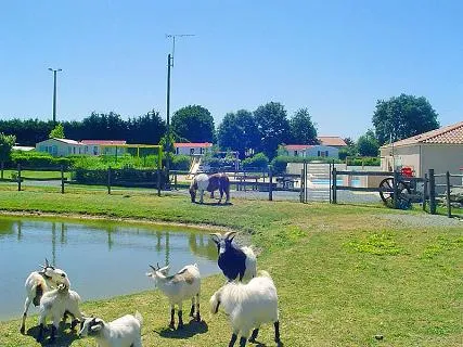 camping-de-la-motte-vendrennes-hu2kd