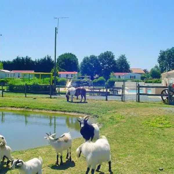 camping-de-la-motte-vendrennes-hu2kd