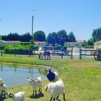 Camping de la Motte