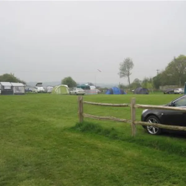 chestnut-meadow-camping-caravan-park-bexhill-on-sea-4jj8j