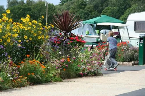 chestnut-meadow-camping-caravan-park-bexhill-on-sea-jatdb