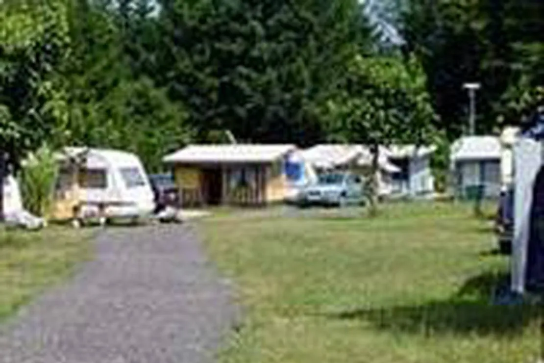 waldcamping-schontal-ludwigswinkel-e6d3m