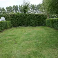 camping-les-pommiers-licques-nw62b