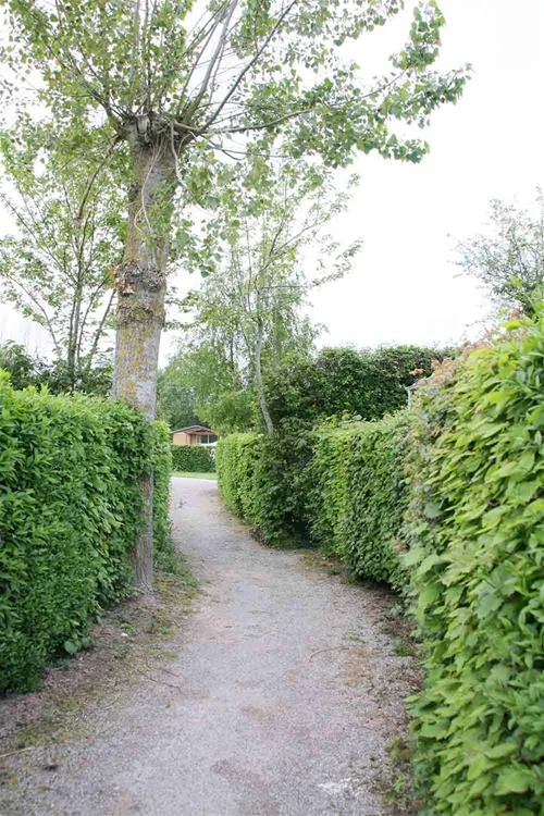 camping-les-pommiers-licques-prvtx