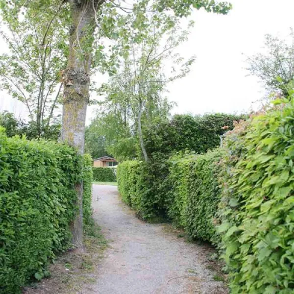 camping-les-pommiers-licques-prvtx