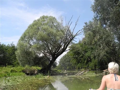 donaupark-camping-tulln-tulln-an-der-donau-l98uu