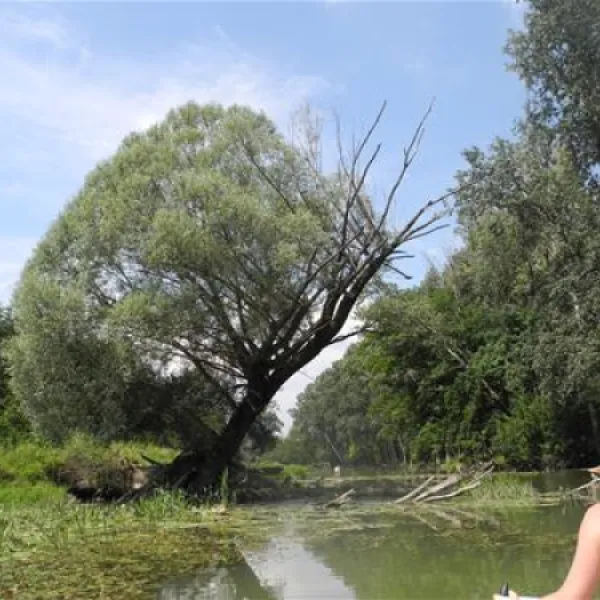 donaupark-camping-tulln-tulln-an-der-donau-l98uu