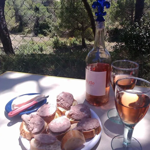camping-figurotta-bizanet-kogun