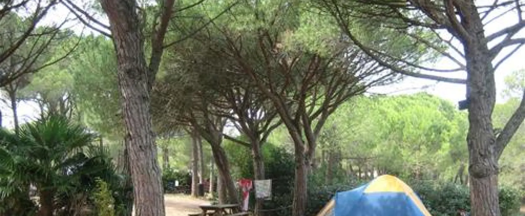 Camping Figurotta  