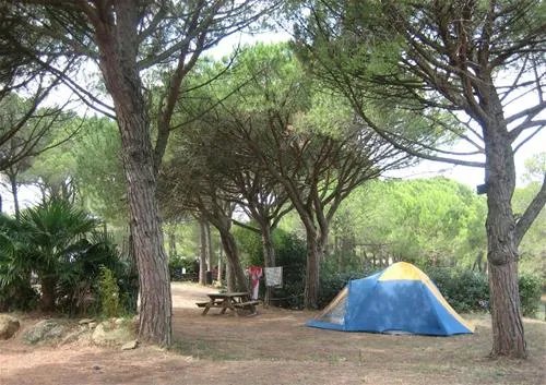 camping-figurotta-bizanet-mrjb9