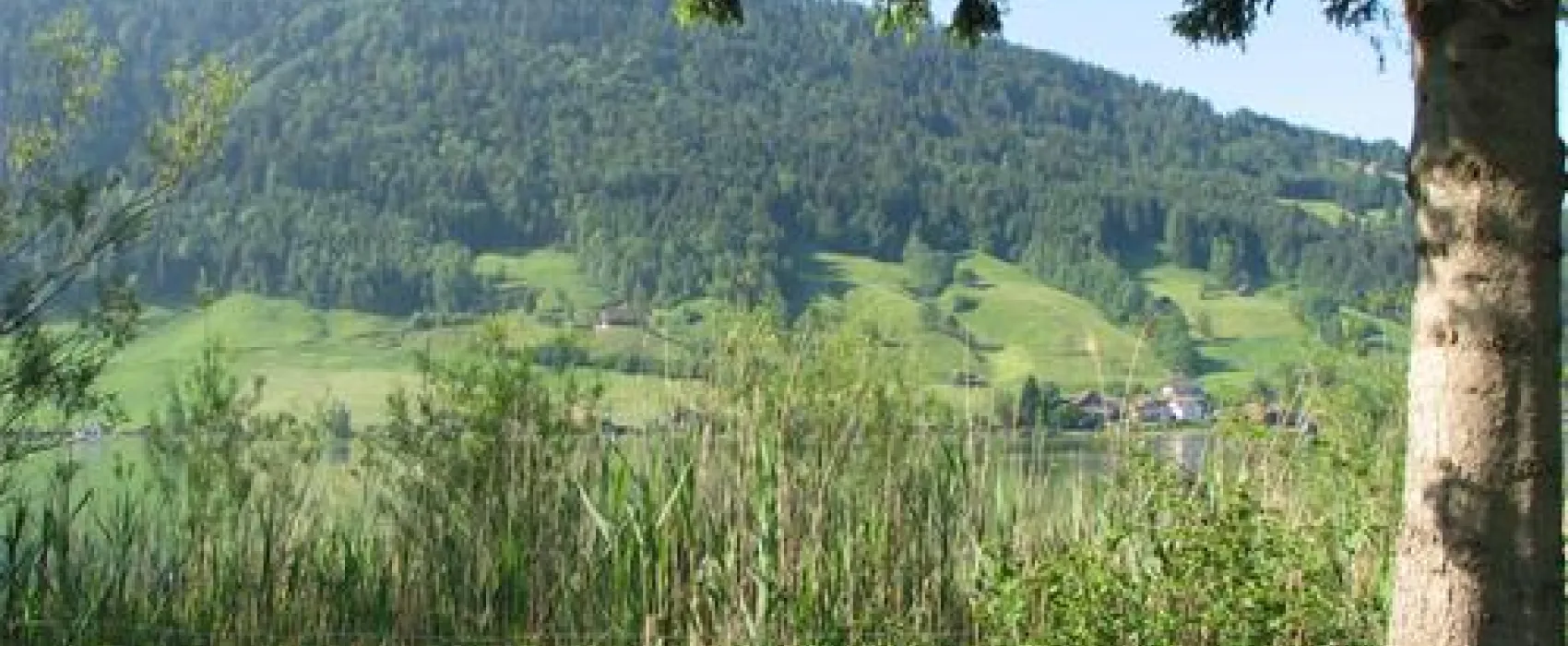Camping Unteraegeri