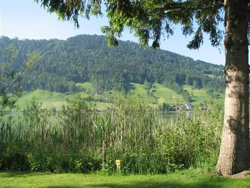camping-unteraegeri-unteraegeri-sem2c