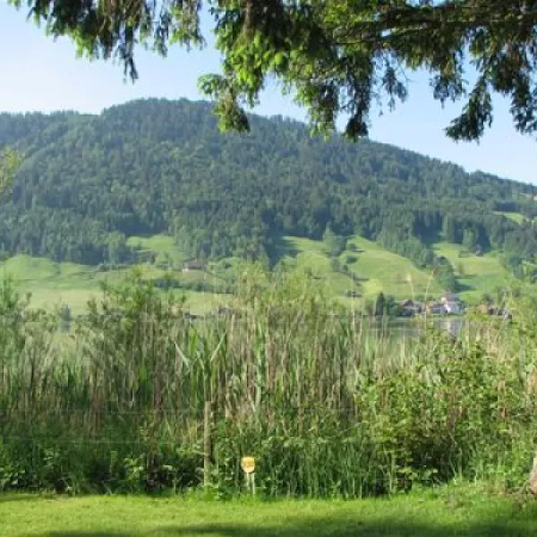 camping-unteraegeri-unteraegeri-sem2c